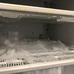 tipos-de-servicos (3)